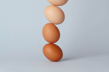 鸵鸟鸸鹋蛋价格一览表，鸸鹋蛋好吃吗？